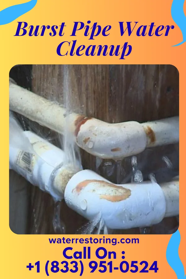 Burst Pipe Water Cleanup in West Bishop, CA
