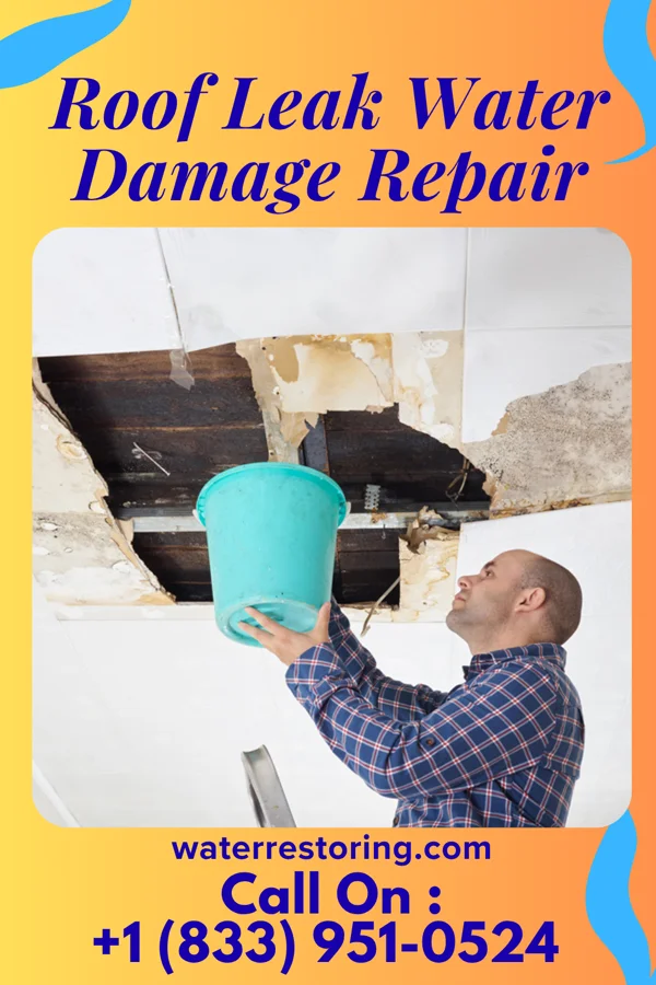 Roof Leak Water Damage Repair in West Bishop, CA
